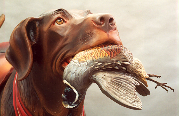 closeup of Scout