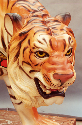 Closeup of sneaky tiger head
